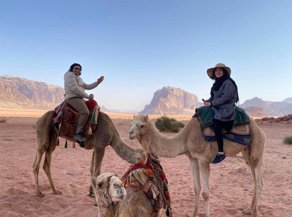 Desert Adventure&Tours Wadi Rum Eksteriør bilde